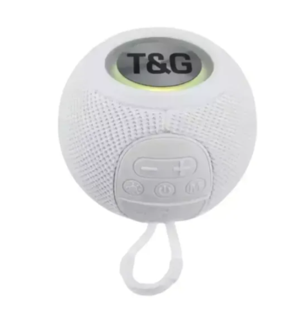 Radio Parlante Recargable T&G TG-337