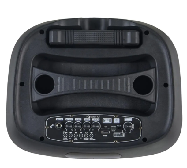 Parlante Bocina Sonido Modelo Gd-1507 Con Micrófono