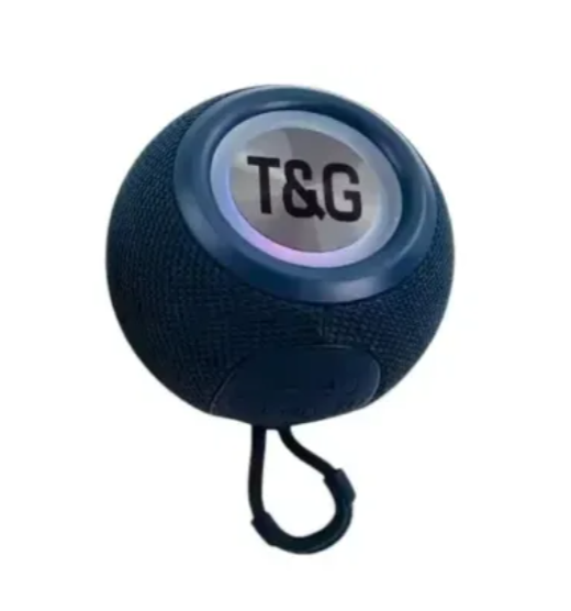 Radio Parlante Recargable T&G TG-337