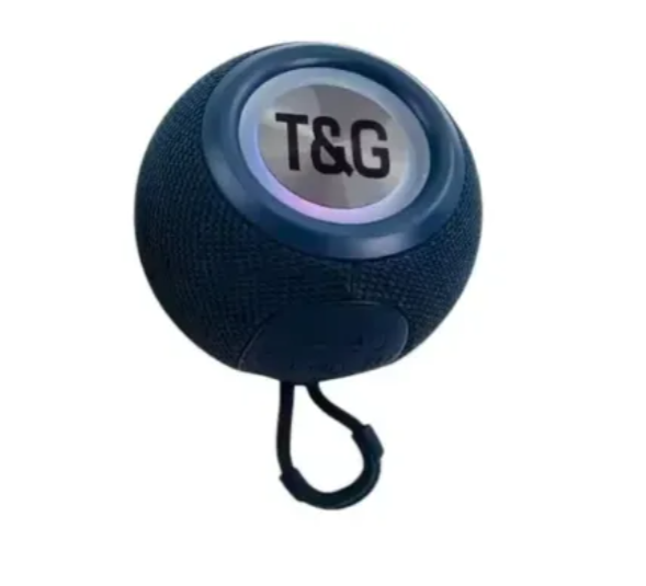 Radio Parlante Recargable T&G TG-337