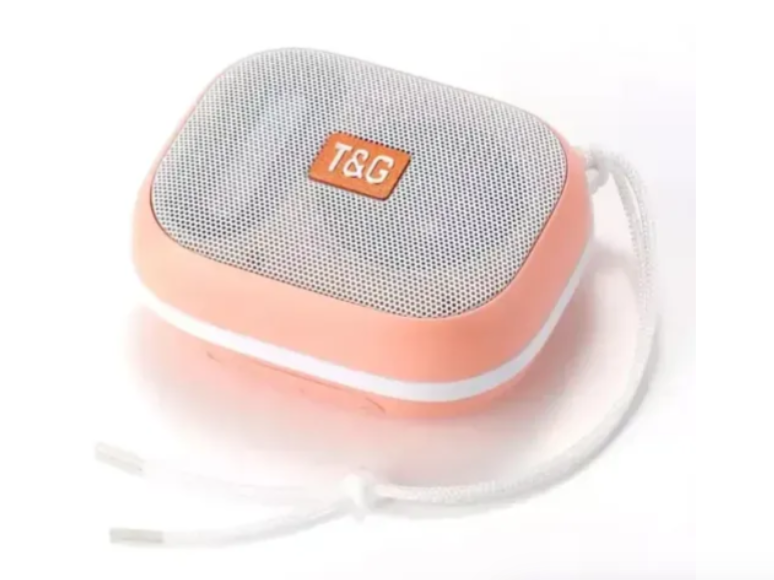 Radio Parlante T&G Portátil Inalámbrico TG-394