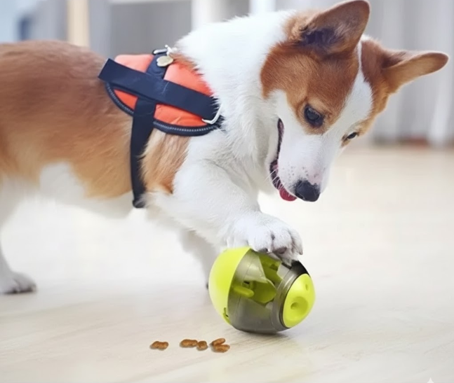 Pelota Dispensador Comida Snack Para Mascotas Eating Sport
