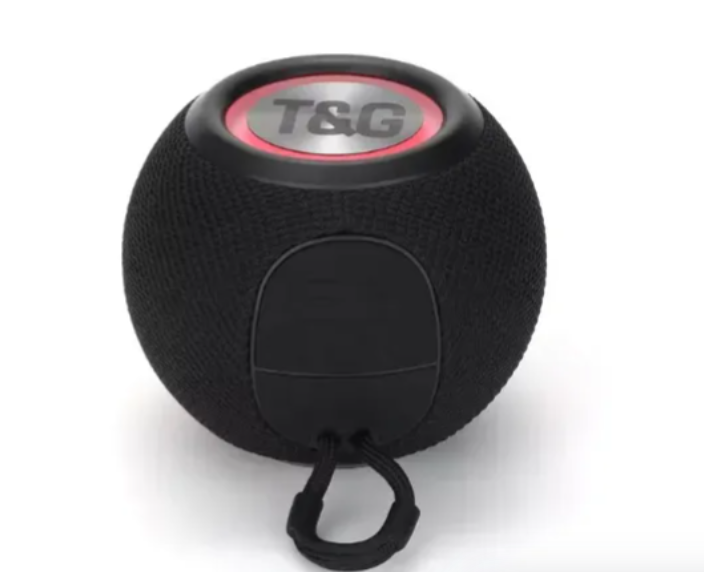 Radio Parlante Recargable T&G TG-337