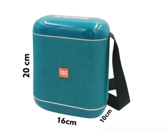 Radio Parlante USB Recargable Incluye Micrófono T&G Ref:TG-523K