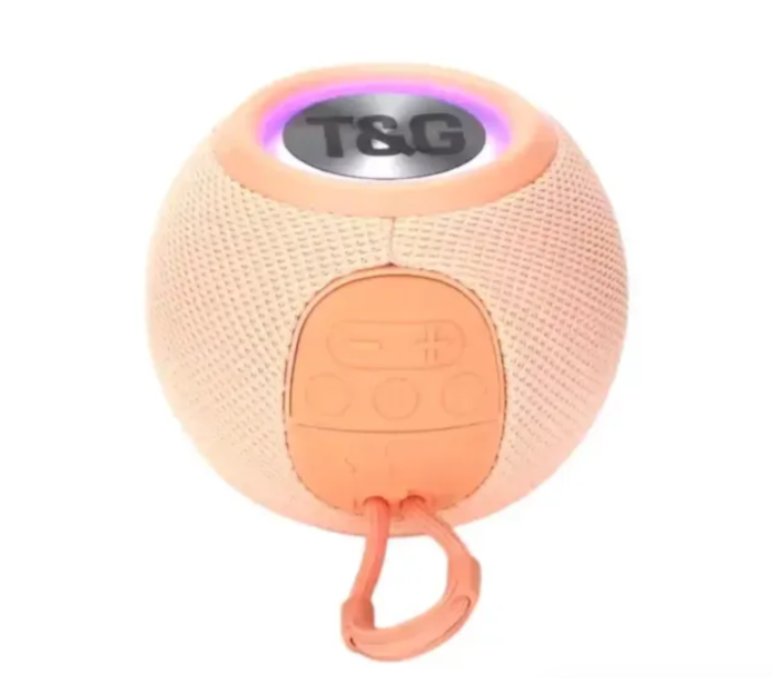 Radio Parlante Recargable T&G TG-337